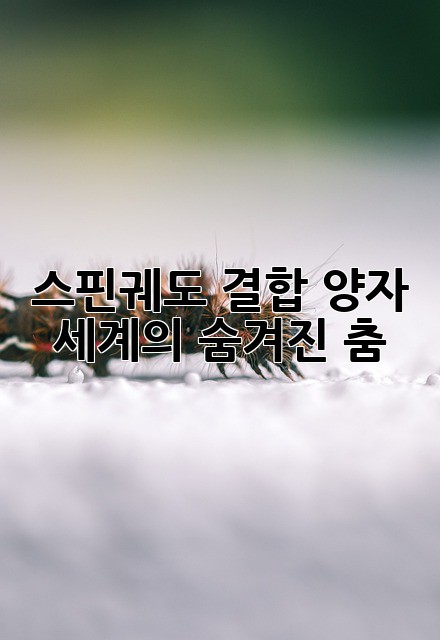 스핀-궤도 결합: 양자 세계의 숨겨진 춤