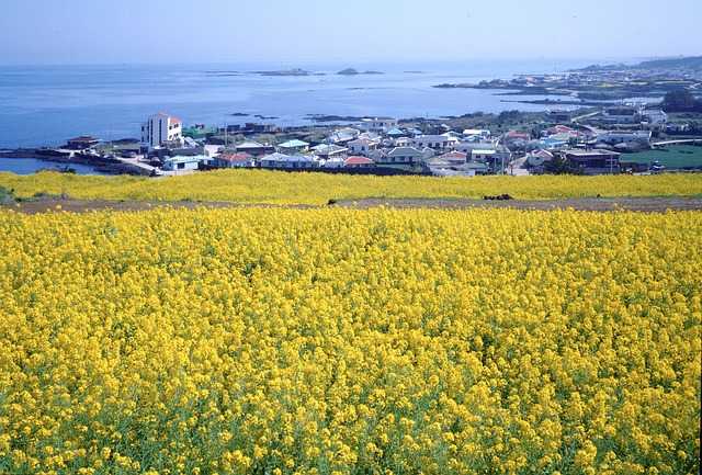 경제주기와 식품 산업: 소비 변화와 정책 대응