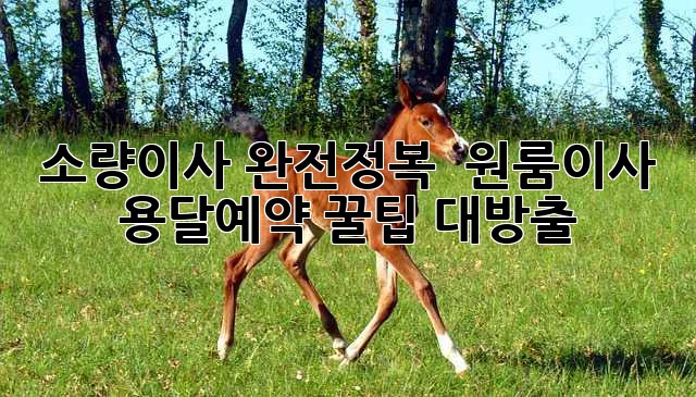 소량이사 완전정복 💯 원룸이사 용달예약 꿀팁 대방출!