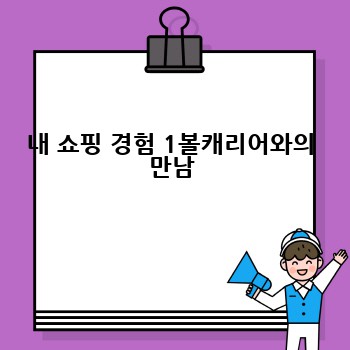 내 쇼핑 경험 1볼캐리어와의 만남